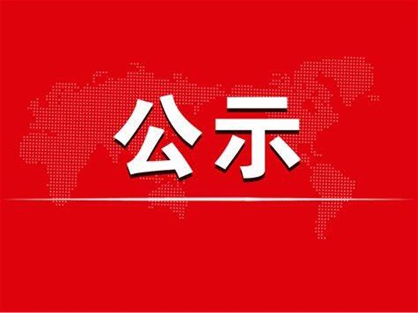 2020年度聊城市旅游發(fā)展集團(tuán)股份有限公司本級決算